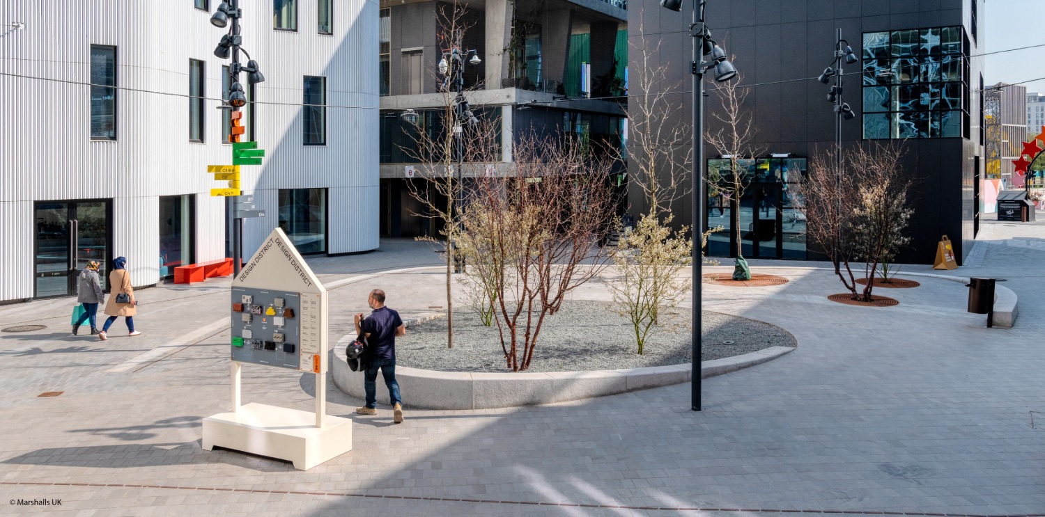 Pedestrian Plaza with Organic hardscape (before)
